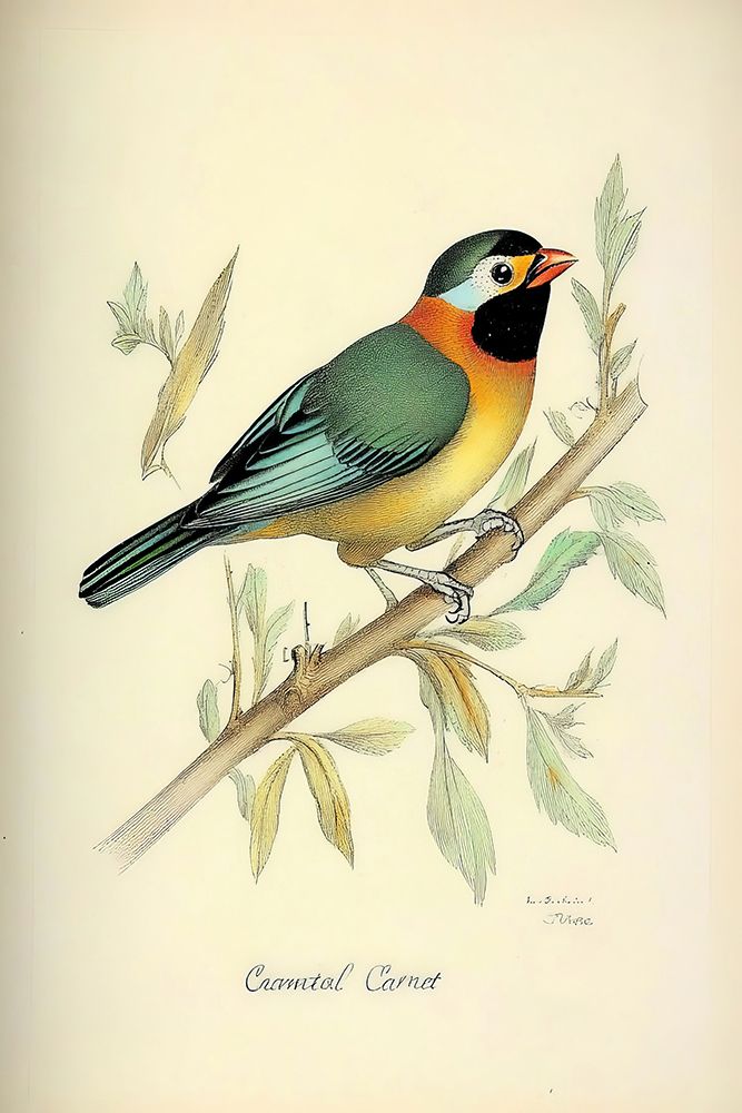 Vintage Birds POD1708