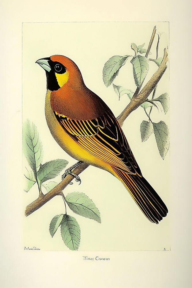 Vintage Birds POD1716