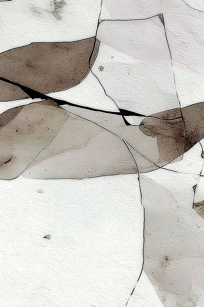 Abstract Gray White Black Brush Strokes Texture