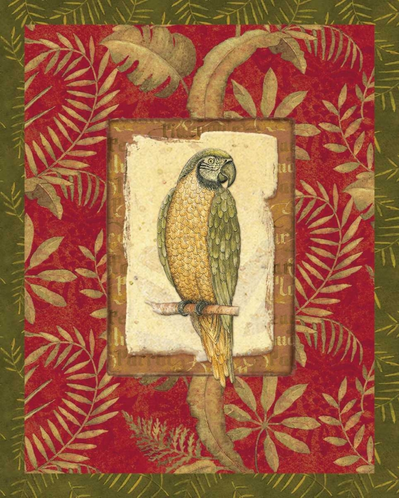 Exotica Parrot
