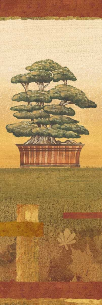 Bonsai II