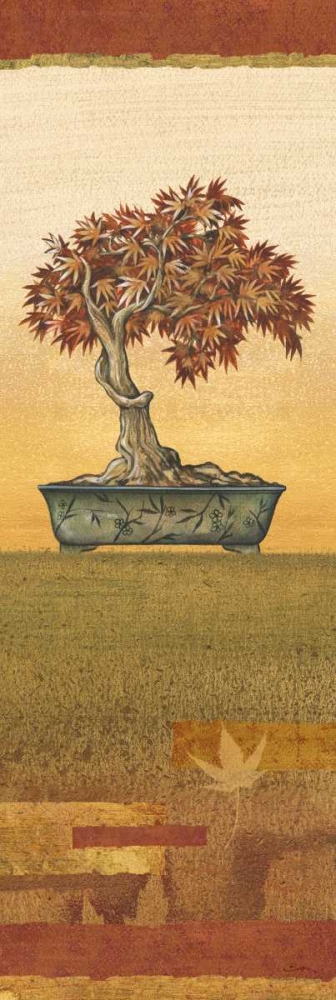 Bonsai IV