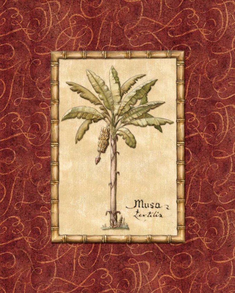 Red Passion Palm II