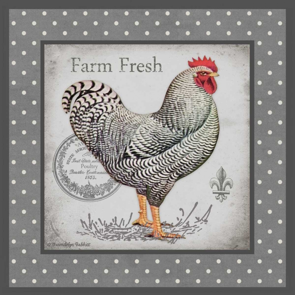 Farm Fresh Eggs I