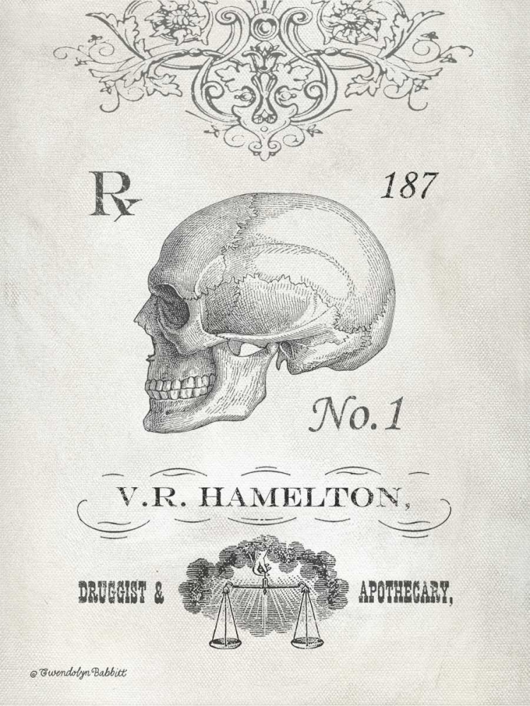 Elegant Skeleton Skull
