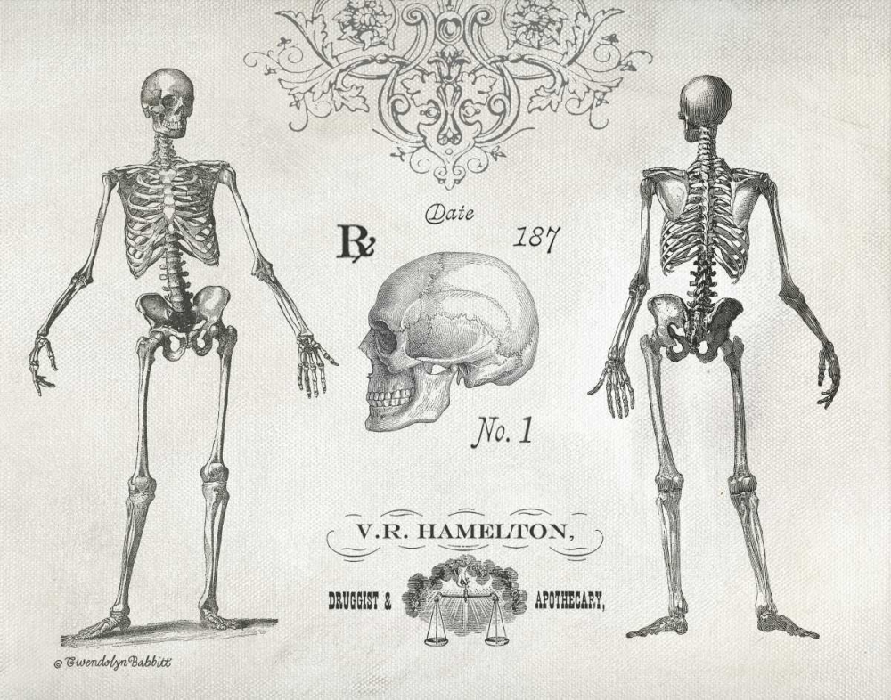 Elegant Skeletons