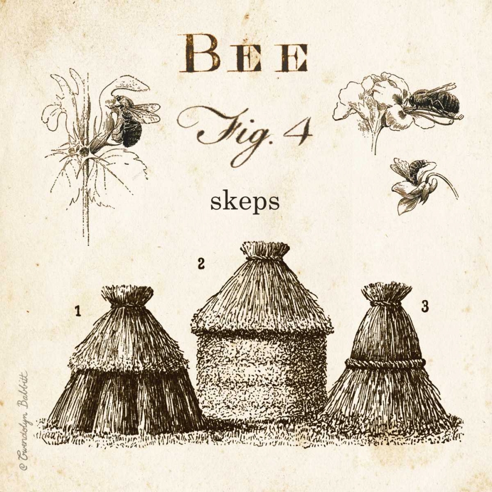Bee Fig 4