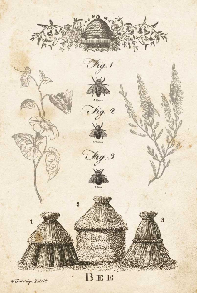 Bee Chart II