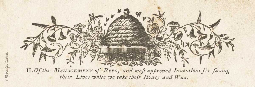 Bee Hive Panel