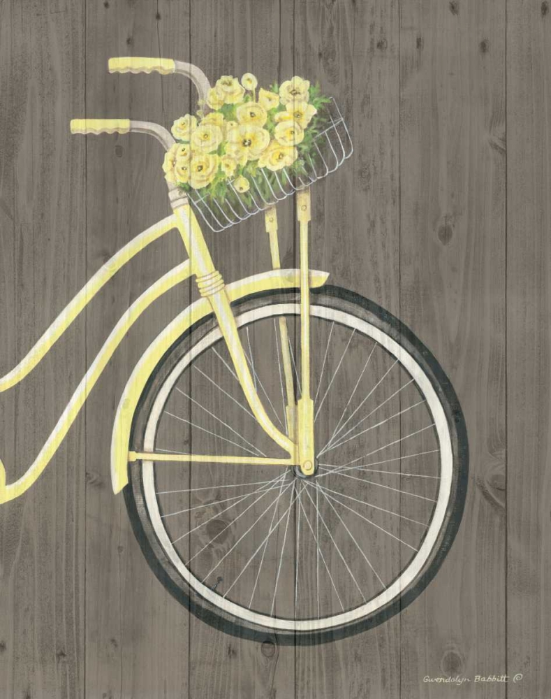 Spring Bike II