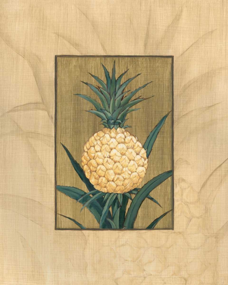 Sugar Loaf Pineapple