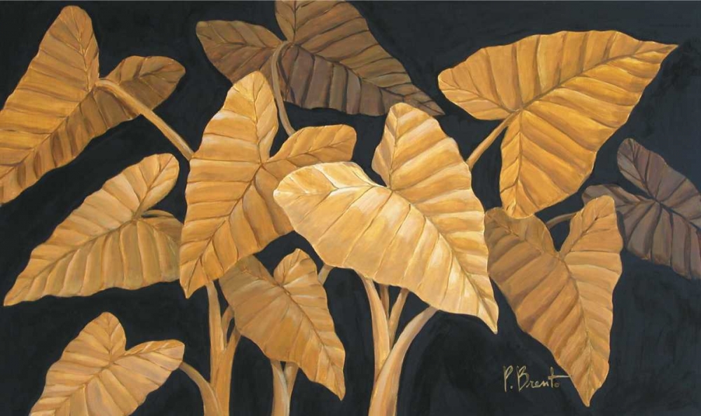 Calypso Leaves II