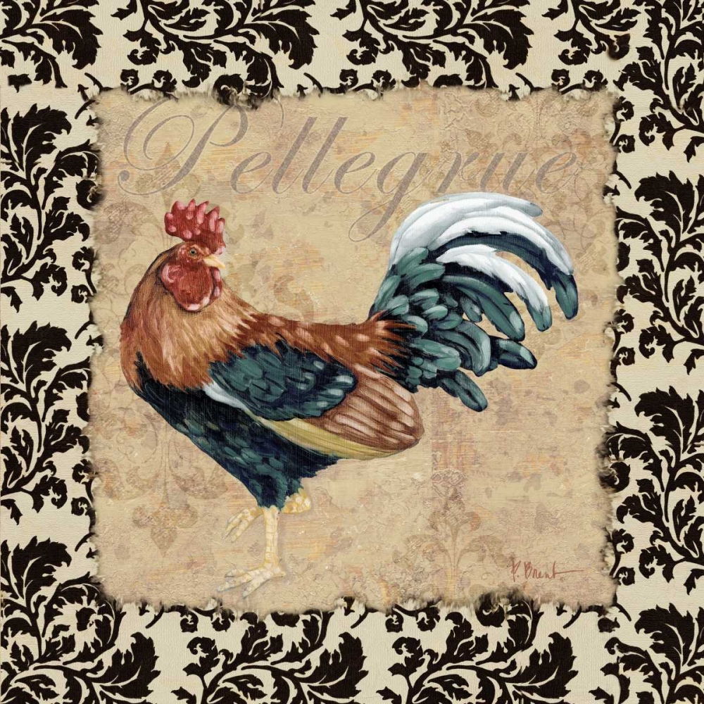Bergerac Rooster Black II