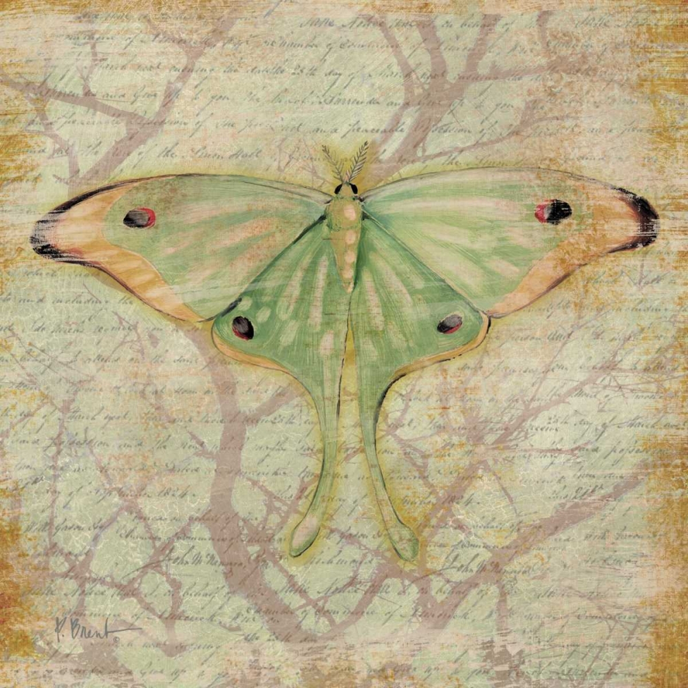 Vintage Butterflies III