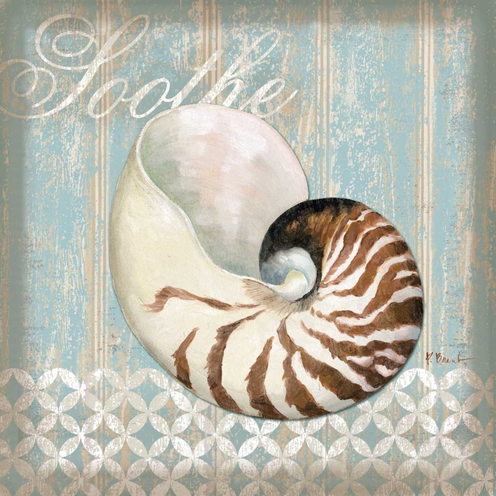 Spa Shells III