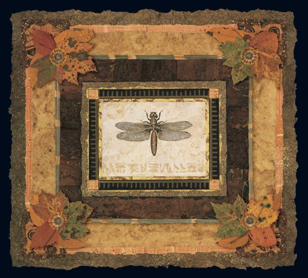 Dragonfly I
