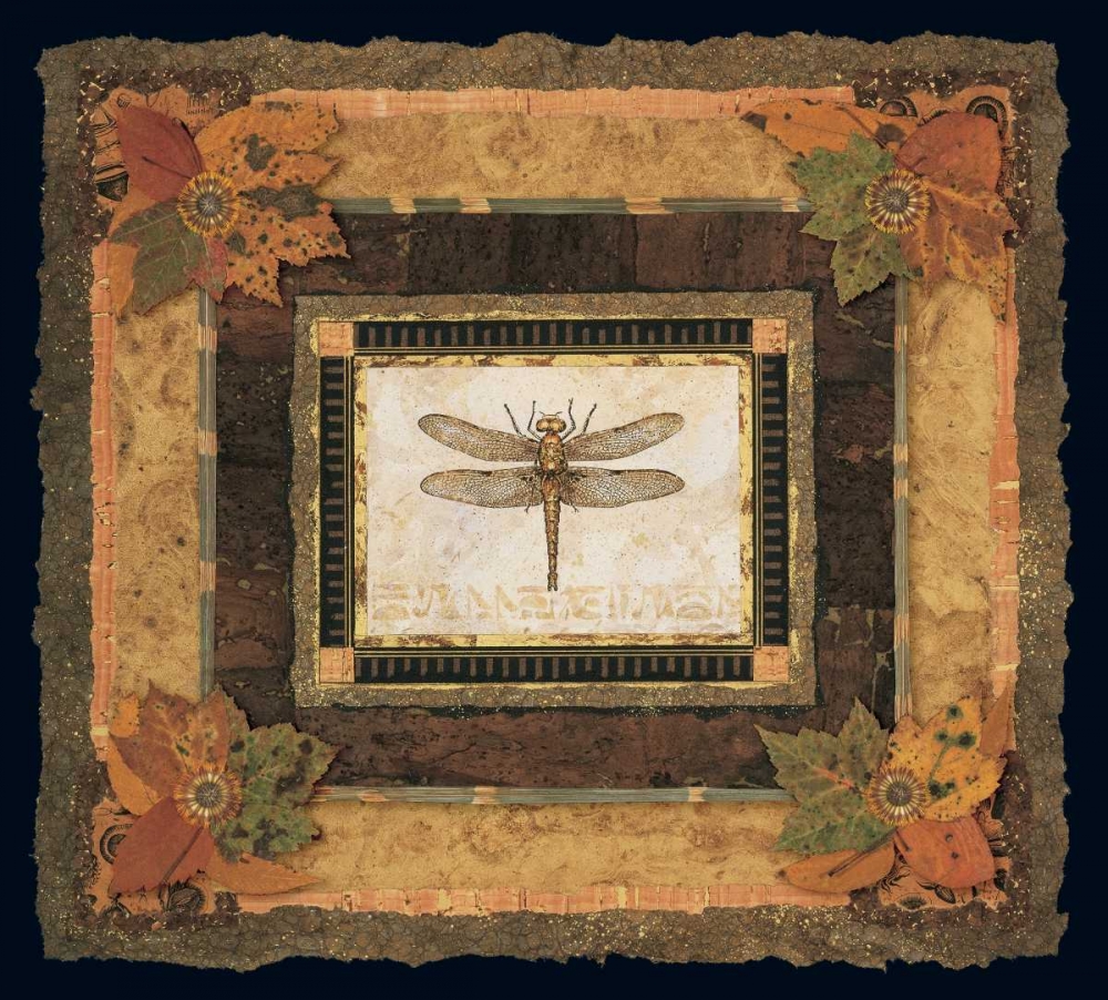 Dragonfly II