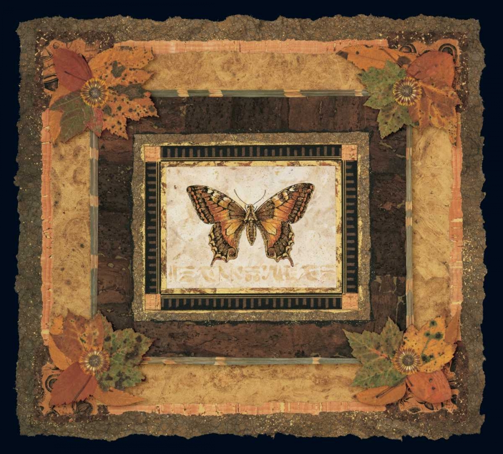 Butterfly II