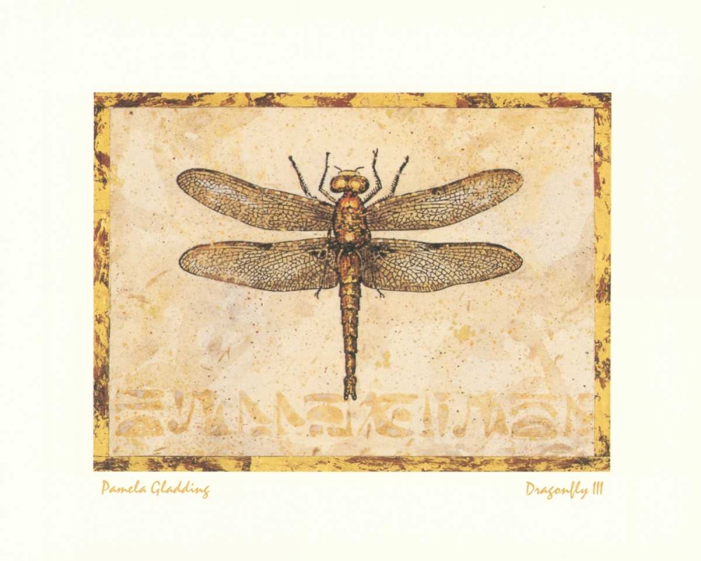 Dragonfly III