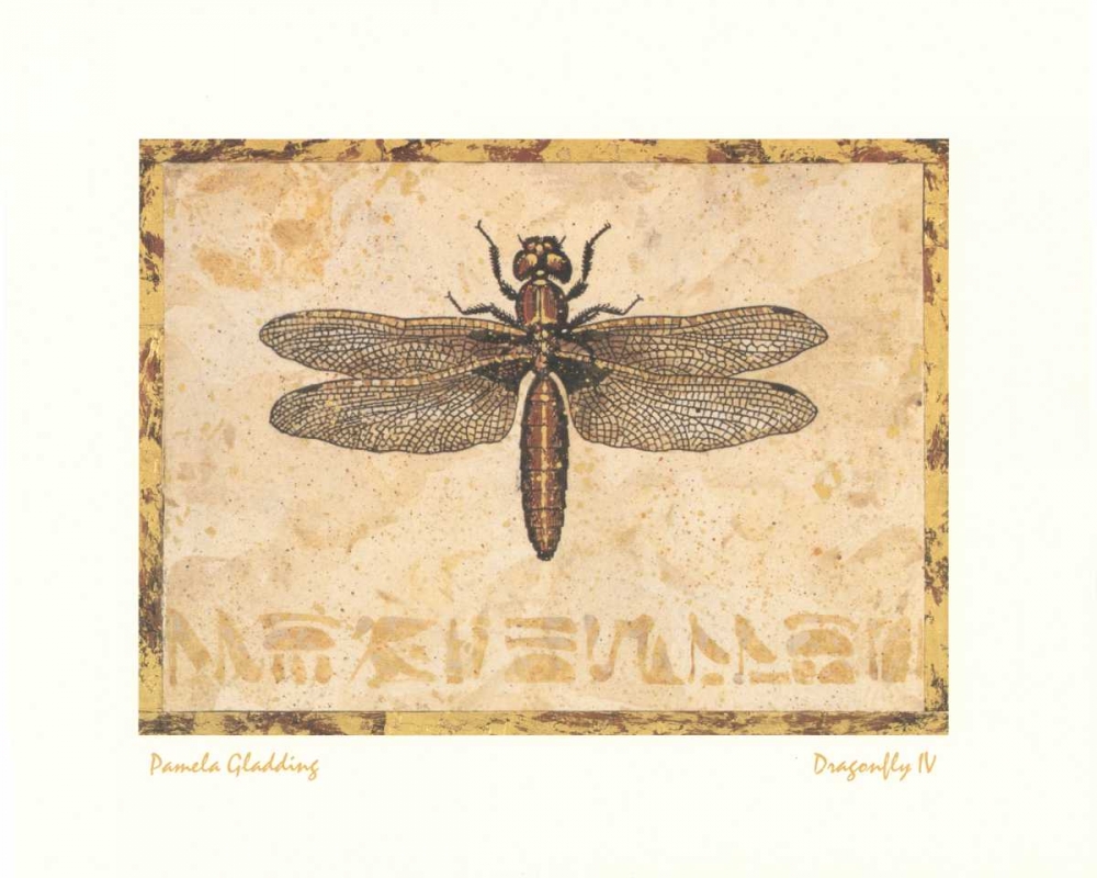 Dragonfly IV