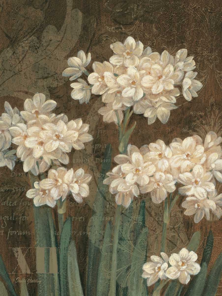 Petit Jardin Narcissus