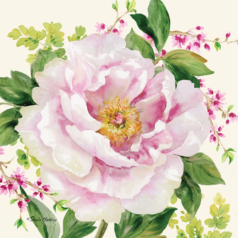 Hoh Peony I
