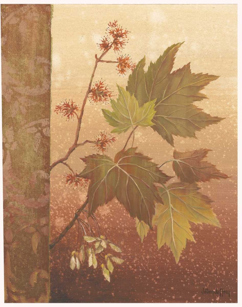 Maple Leaves