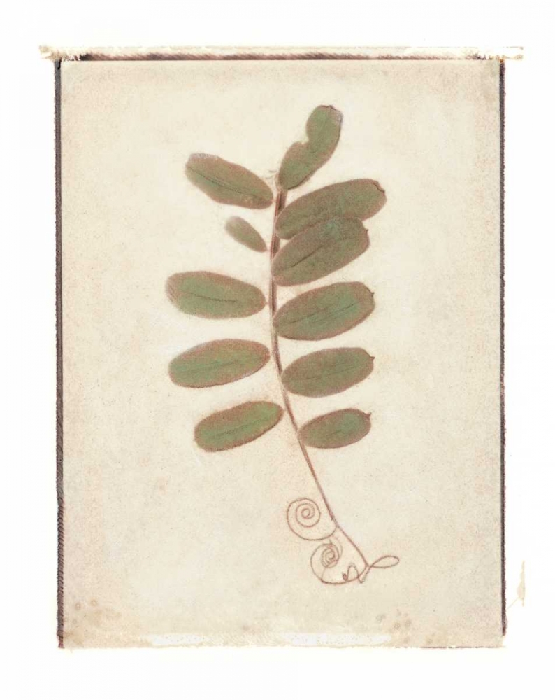 Tendril