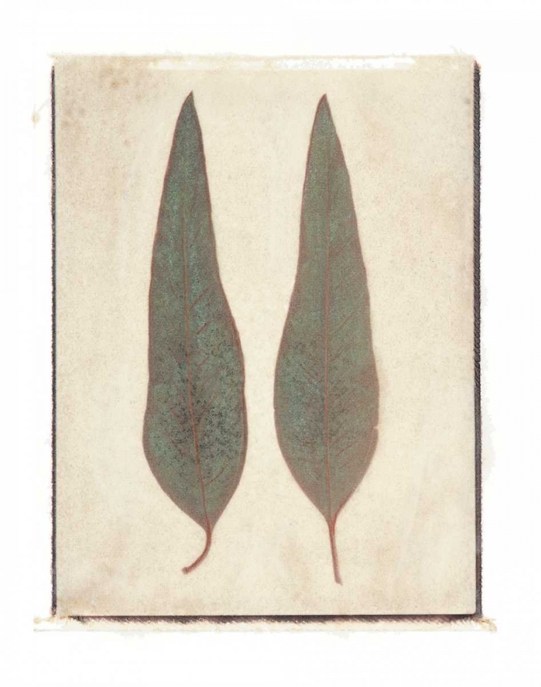 Two Leaves