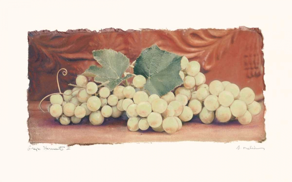 Grape Harvest II