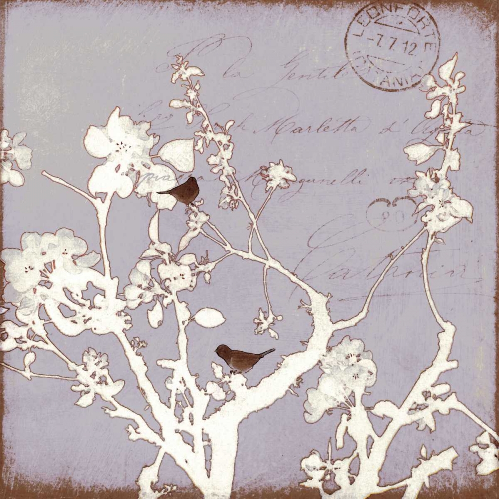 Song Birds VII