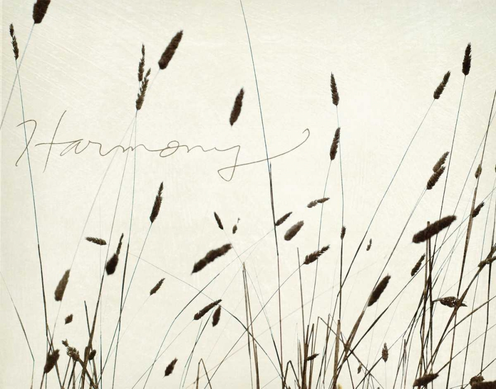 Grass Harmony