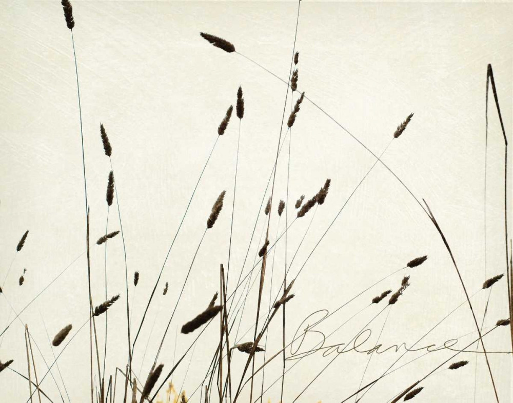 Grass Balance