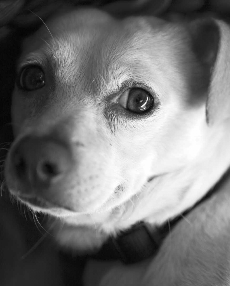 Second Glance Black and White