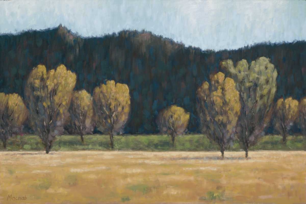 Cottonwood Country II