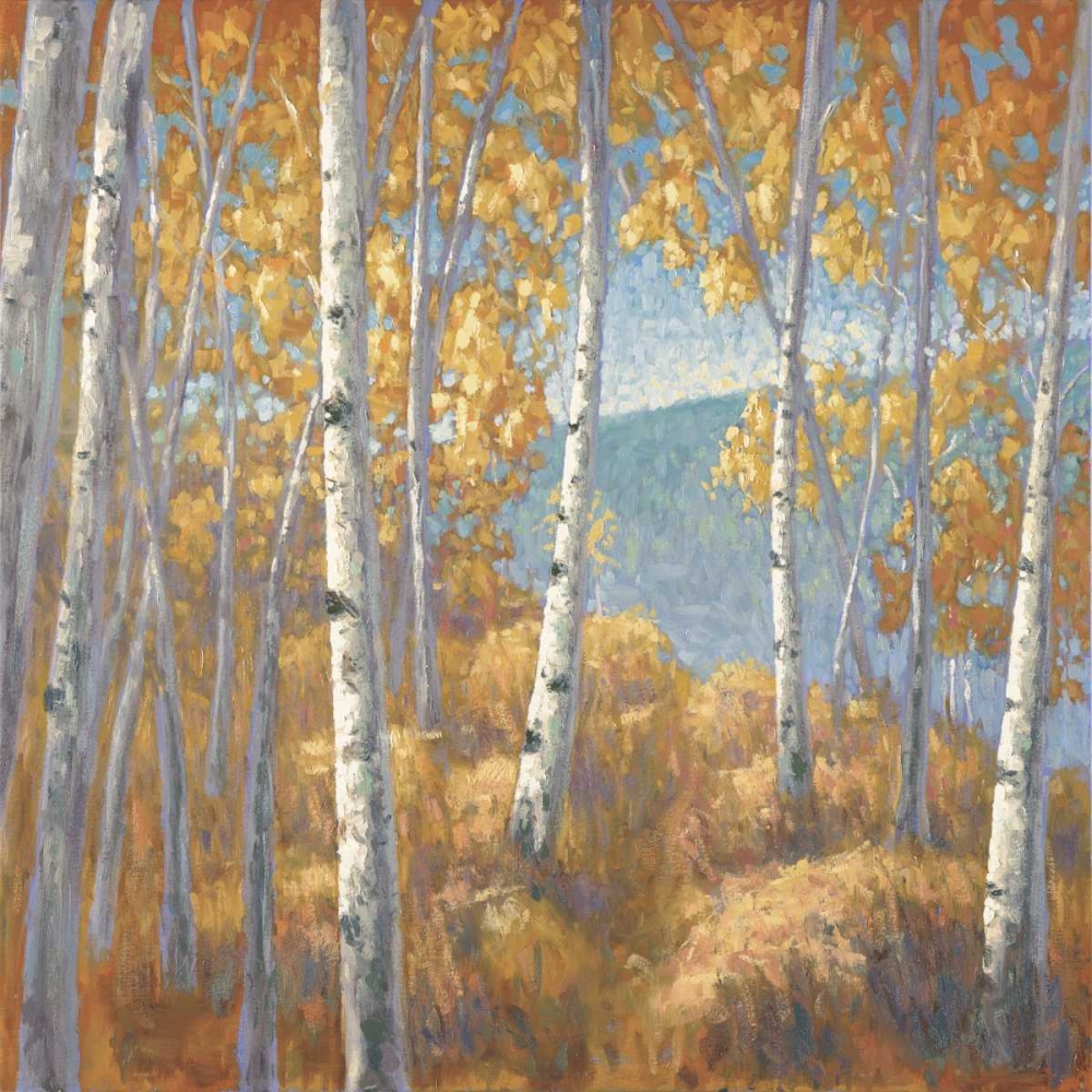 Fall Aspen I