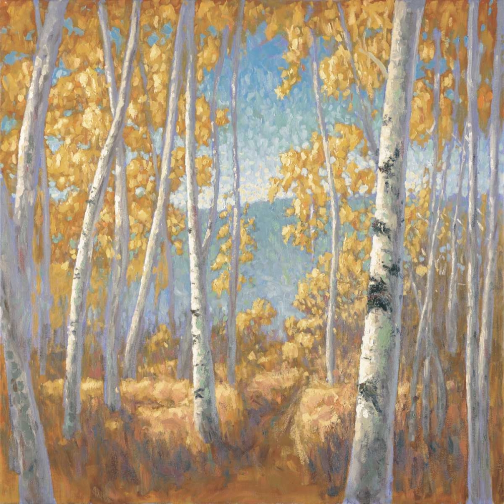 Fall Aspen I