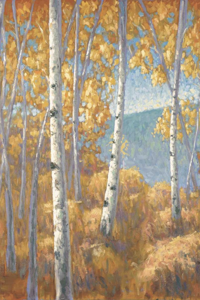 Aspen Forest I