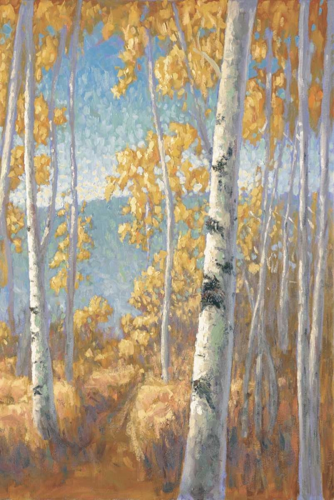 Aspen Forest II
