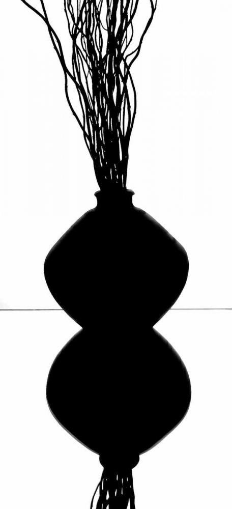 Still Life Reflections I