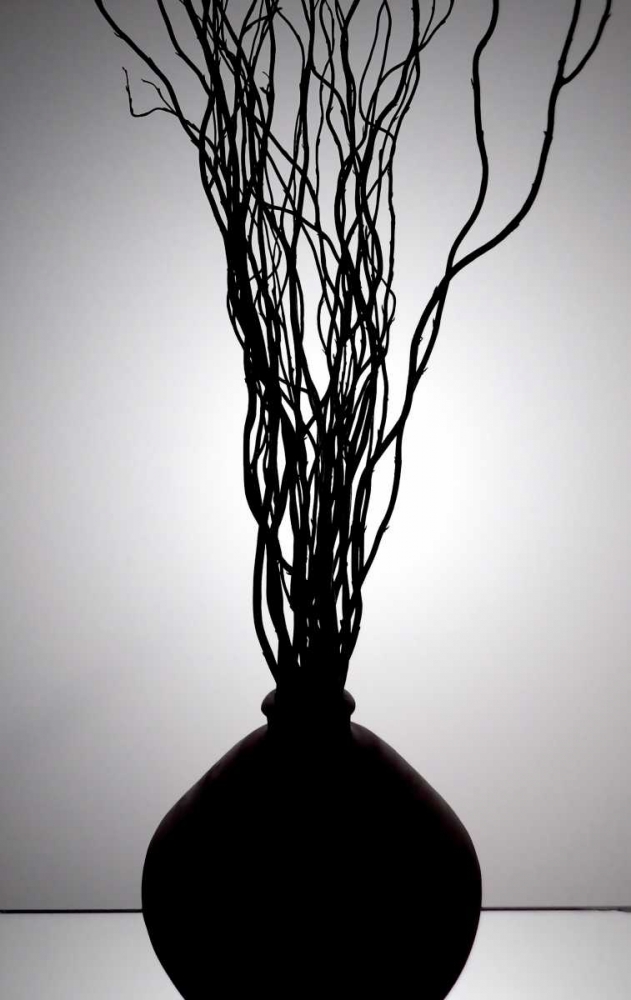 Still Life Silhouette I