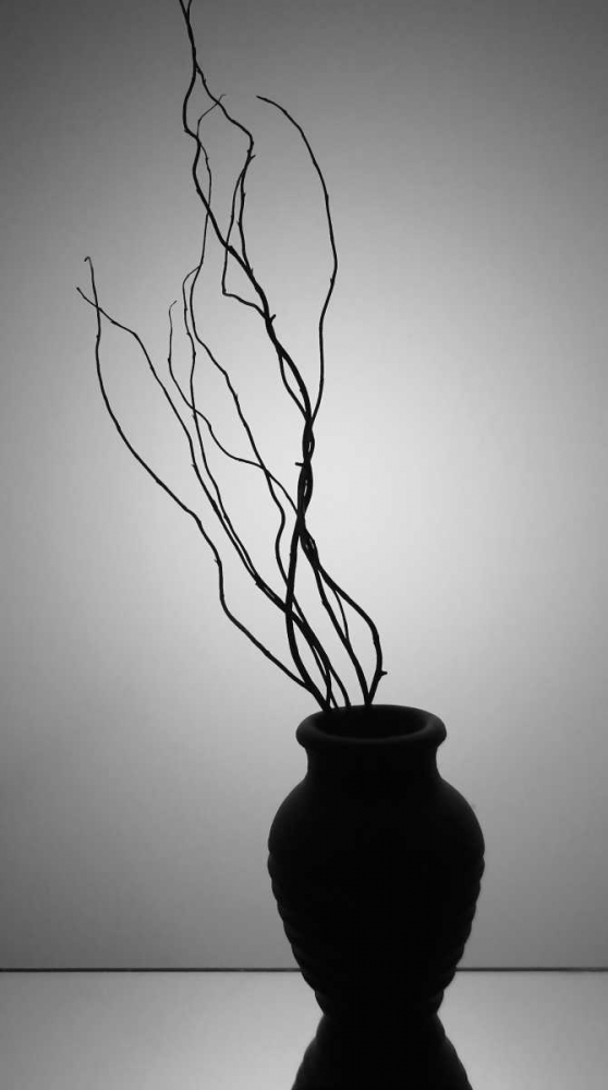Still Life Silhouette II