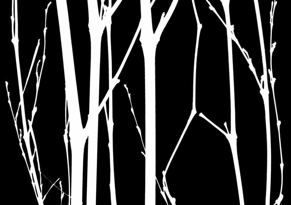 Reverse Silhouette I