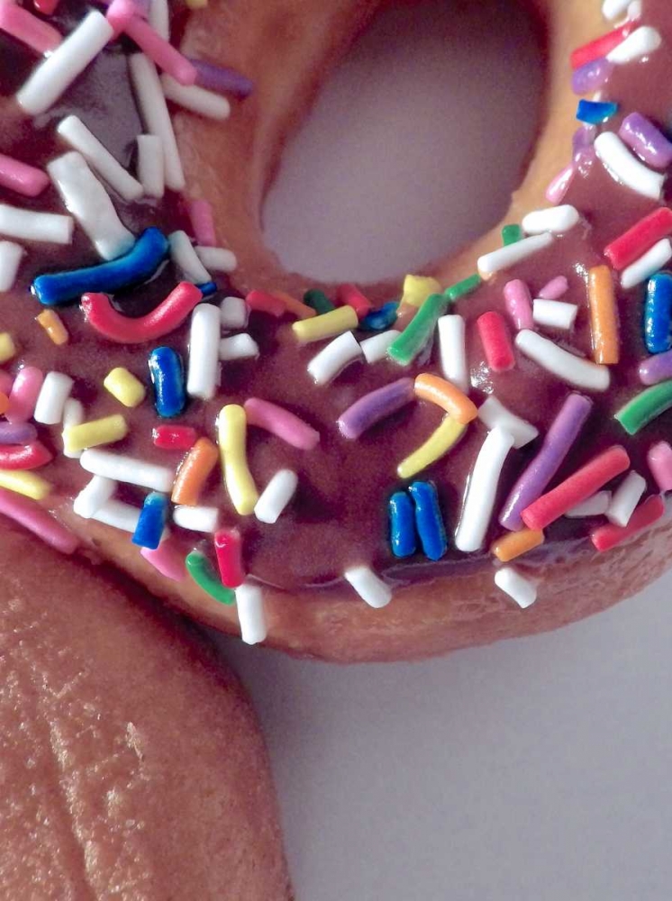 Classic Doughnut I