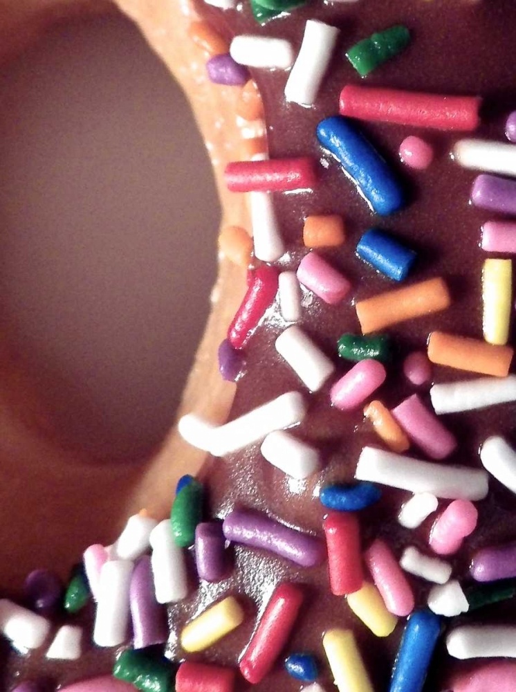 Classic Doughnut II