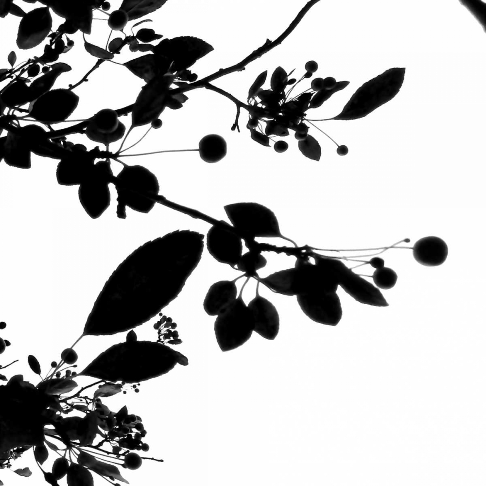 Last of Summer IV