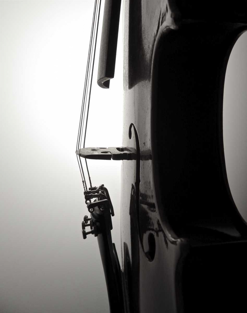Violin II
