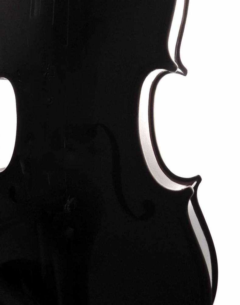 Violin Curves