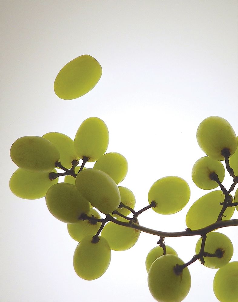 Grape Bunch II