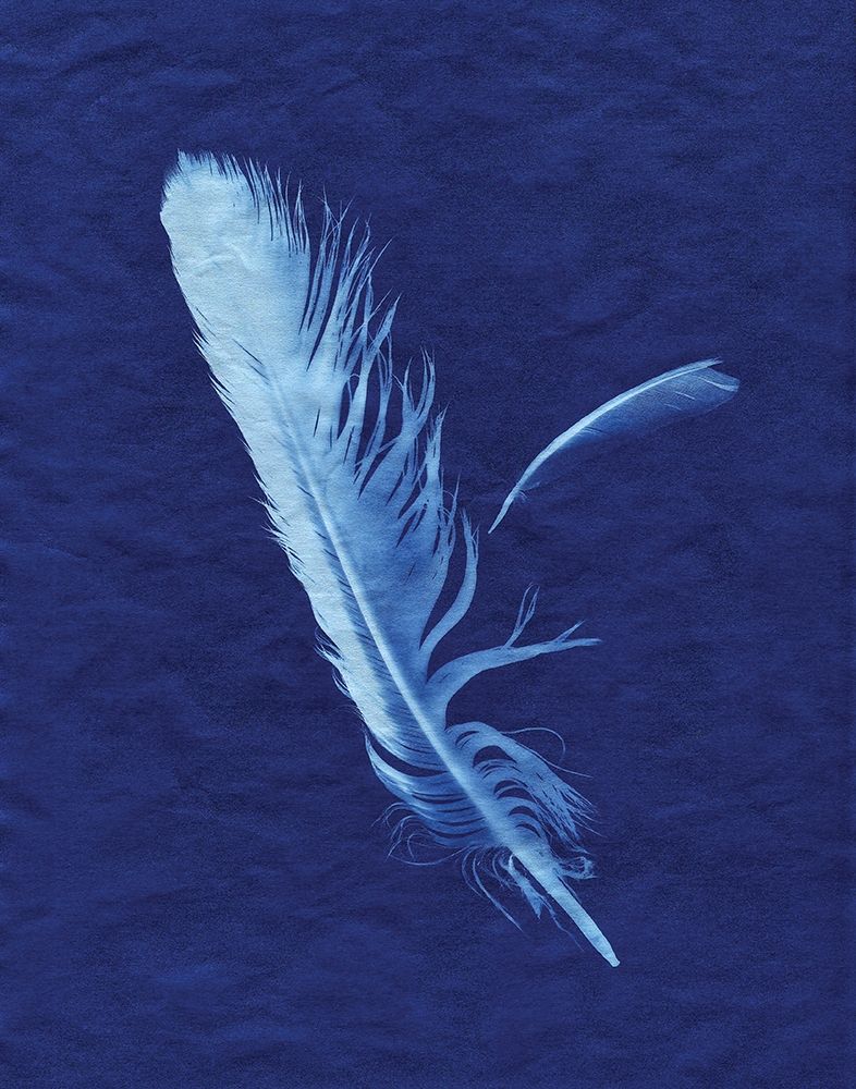Indigo Feather I